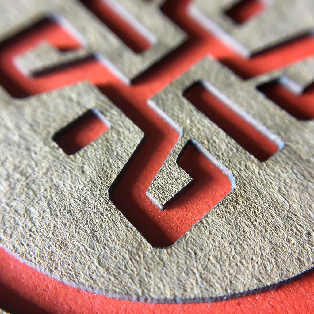 Cactus Hook or Crook Agave