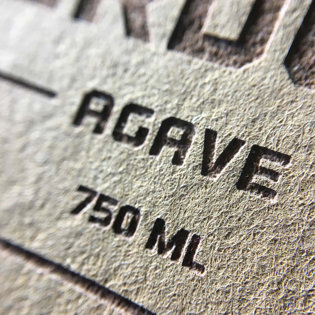 Cactus Hook or Crook Agave