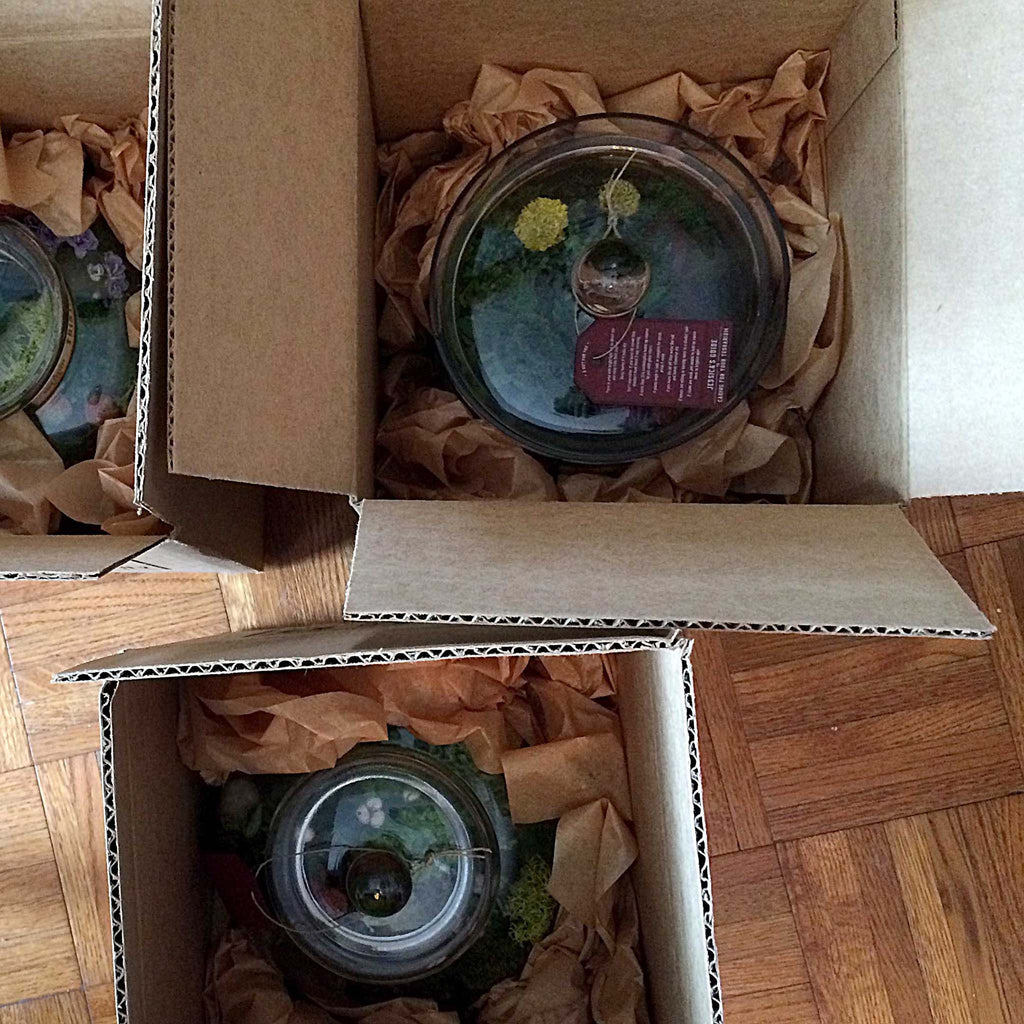 Jessica Grenier Photography Terrarium Packaging