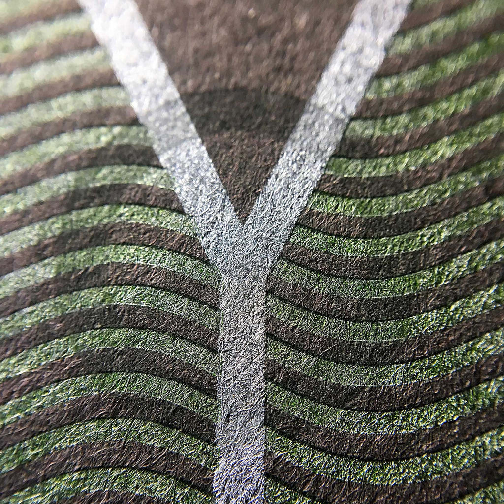 Illumination Packaging