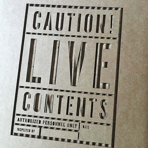 Jessica Grenier Photography Terrarium Packaging