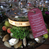 Jessica Grenier Photography Terrarium Packaging